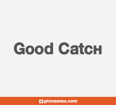 Good Catch